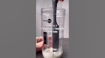 Sourdough Starter Recipe Guide #homebaker #sourdough #sourdoughstarter #easybake #Breadmaker #SHORTS