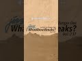 Jibba bei WhatAboutBreaks Vol. 237