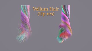 Houdini Vellum hair (up res)