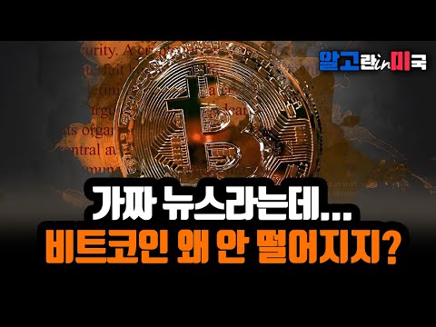 가짜 뉴스 논란에도 비트코인 가격 왜 안 떨어지죠?/ ETF 승인 가능성은 역대급입니다/ 그래서 2030년엔 20억 갑니다 [알고미]