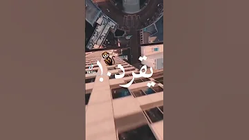 انت ف نظر الكل خروف 