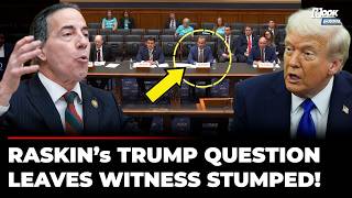 ‘Foreign Money’ For Trump Jamie Raskin Raises Qatar Jet In Fiery Election Hearing | US Politics