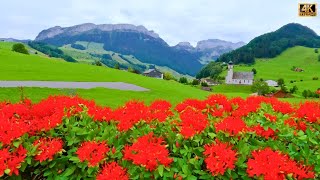 Heavenly Swiss Countryside of Appenzell Switzerland  | #swiss