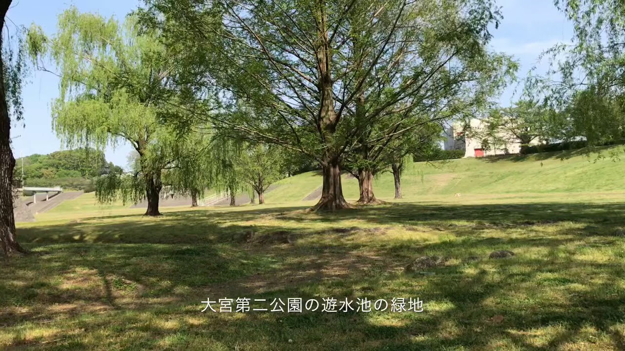 Gwおすすめピクニック公園 大宮第二公園 埼玉県さいたま市大宮区 Youtube
