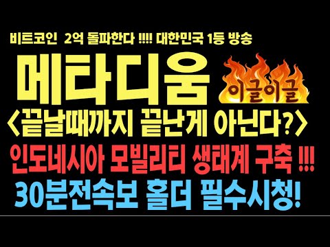   메타디움 메타디움코인 메타디움코인전망 인도네시아 모빌리티 생태계구축 복분자 하드포크 메인넷 업데이트 코인전망 비트코인 이더리움 도지코인