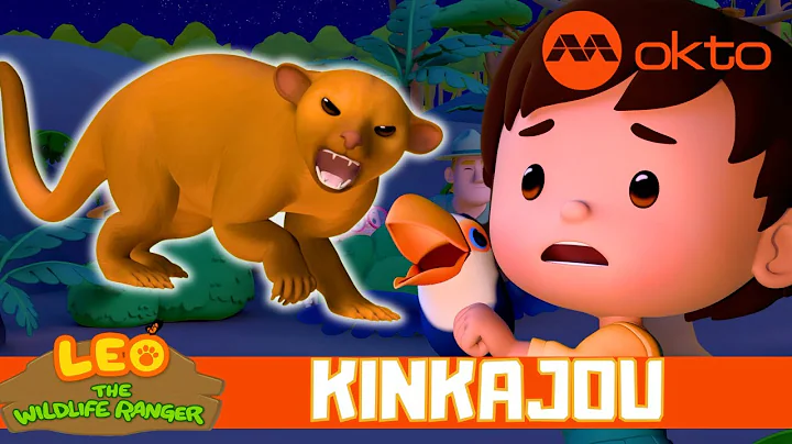 KINKAJOU Jungle RESCUE WILDLIFE ADVENTURE 🌴 | Leo the Wildlife Ranger Spinoff S6E20 | @mediacorpokto