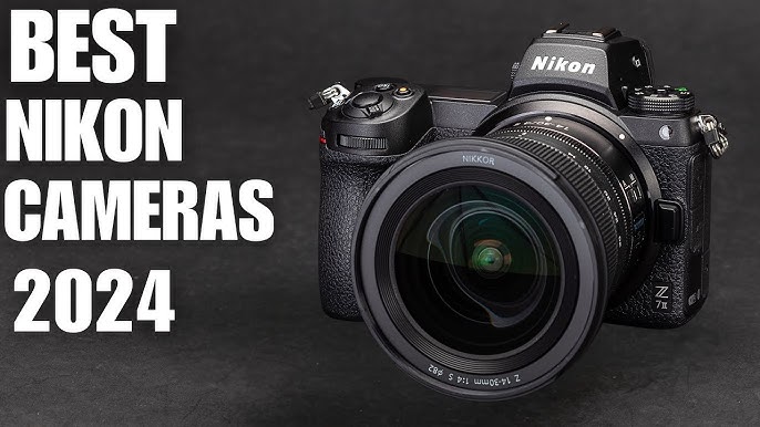 Review Nikon D3500: 2024's Best Budget Digital Camera for Beginners? -  Wanderlust Pulse