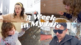 Casa Allagata: Arrivano Gli Operai! Aurora Ha Un Problema All’occhio🥹