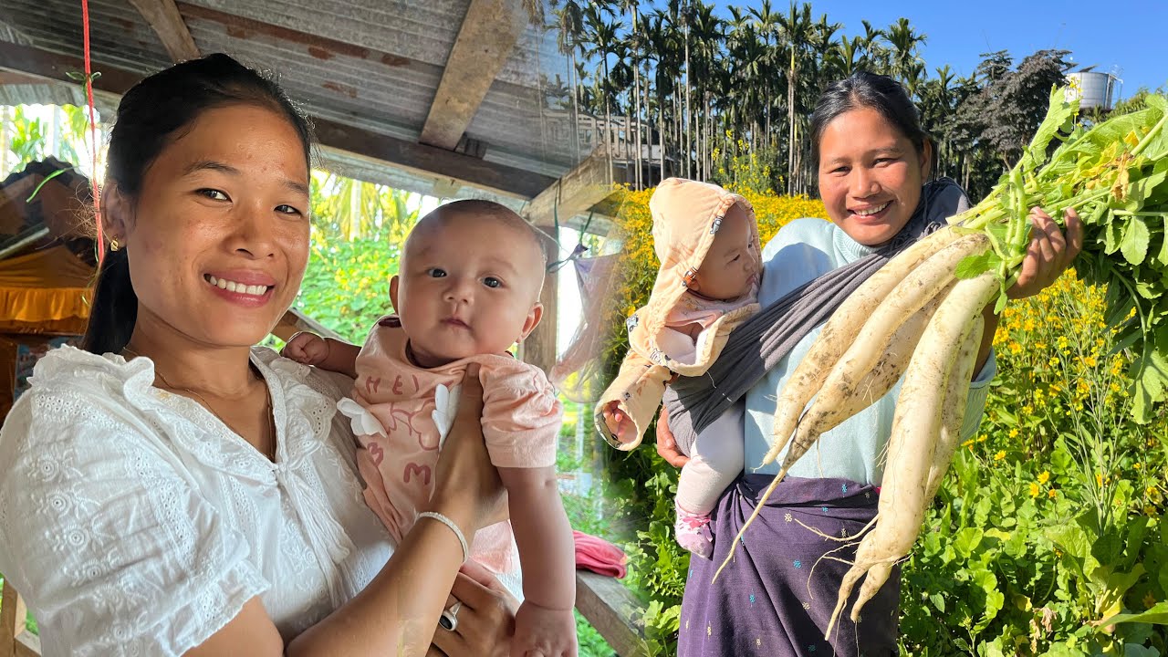 Collecting Organic Radish from Farm @JerryKeVlogs humare ghar aaya hai