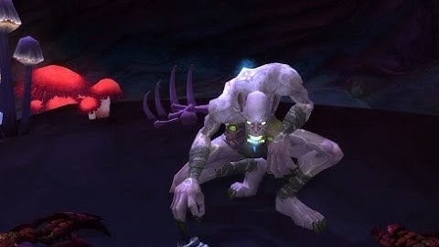 WOW - How to get the Precious Bloodthorn Loop