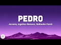 Jaxomy, Agatino Romero, Raffaella Carrà - Pedro (Letra) pedro pedro pedro pedro pe tiktok