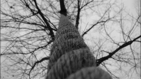 Keyarzus - A Tale of Loneliness and Grief