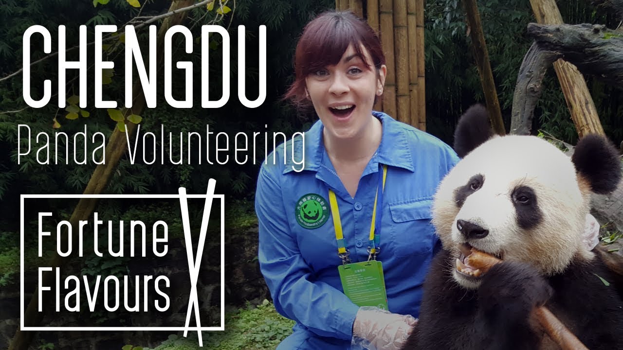 FORTUNE FLAVOURS PANDA HOLDING & VOLUNTEERING (OCT 2018)