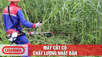 MÁY CẮT CỎ OSHIMA | MẠNH MẼ VỚI CHẤT LƯỢNG NHẬT BẢN