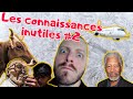 Les connaissances inutiles 2 du buf morgan freeman et un avion rup