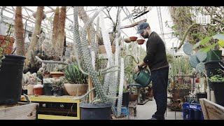 Cactus Store | CASIO G-SHOCK
https://gshock.casio.com/jp/contents/thistime/la/la-4/
多肉植物&サボテン専門店から始まり、多肉植物を題材にしたアートワークを制作するデザインスタジオ、Cactus Storeへのインタビュー。
THISTIMEの誌面とWEBページでは作品全編とインタビューを掲載中です。 Cactus Store | CASIO G-SHOCK