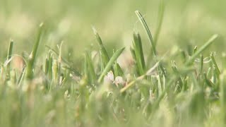 Experts say allergies are coming earlier and lasting longer as spring extends