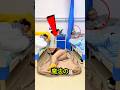 マジックベッドトリック! 🪄🛏️🤯