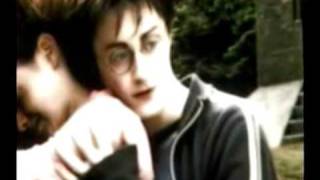 Harry ♥ Hermione: Love Story