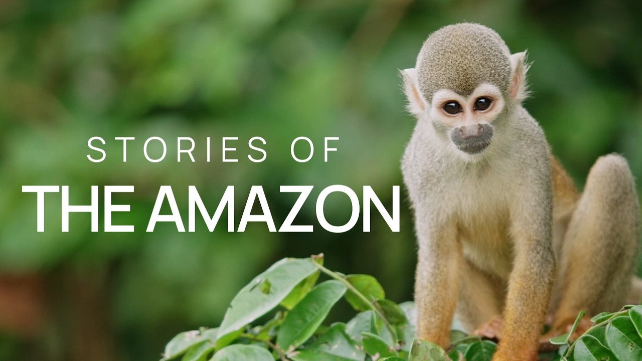 Stories of the Amazon: Voices from the Frontline