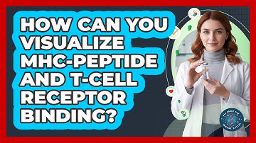 How Can You Visualize MHC-peptide And T-cell Receptor Binding? - All About the Immune System