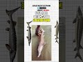Рыбный бизнес: осётр и икра. Расчёты доходов #бизнес #бизнесснуля #shorts