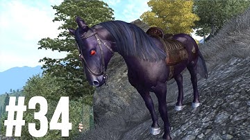 Oblivion Max Difficulty Part 34 - The Purge