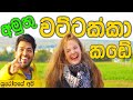 මුදලාලි නැති වට්ටක්කා කඩේ | Halloween Wattakka/Pumpkins