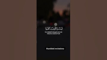لَّقَدْ كَفَرَ الَّذِينَ قَالُوا إِنَّ اللَّهَ.. تلاوة خاشعة للشيخ سلمان العتيبي 🕊❤