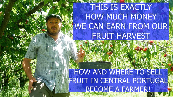 HOW MUCH MONEY CAN WE EARN FROM FRUIT & WHERE WE S...
