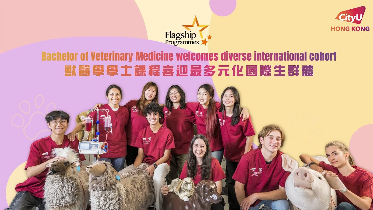 CityUHK’s Bachelor of Veterinary Medicine Programme draws record international enrolment