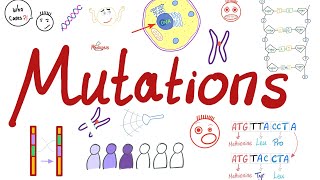 Types of Mutations | Changes in the Gene Pool | Genetic Drift | Biology 🧬