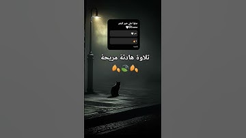 تلاوة هادئة🤍 #قران_كريم