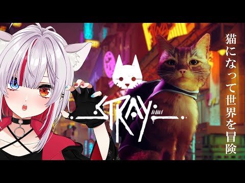 【stray】にゃんこの大冒険ﾆｬ~~ﾝ【Vtuber/真昼ノ雪鬼】