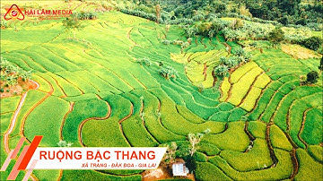RUỘNG BẬC THANG - VẼ NÊN NÉT ĐẸP TỪ TRÊN CAO | DU LỊCH GIA LAI - VĂN HÓA CON NGƯỜI GIA LAI