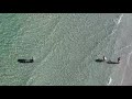 Persistently Curious Manatee Follows People to the Shore at the Beach Near Clearwater, Florida