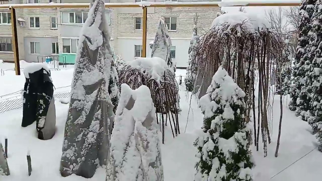 Зимняя сказка у дома