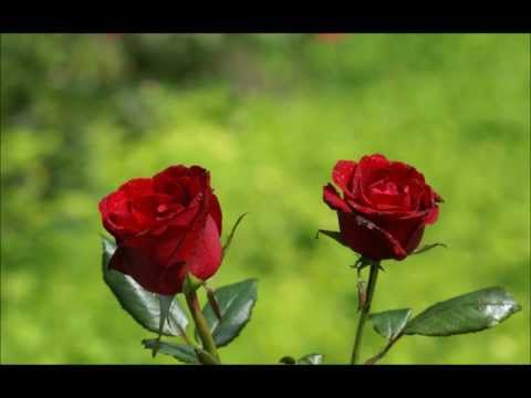 Non Stop Bollywood Huge Songs Collection - Part 1/7 [Trailer] (HQ) {बॉलीवुड}