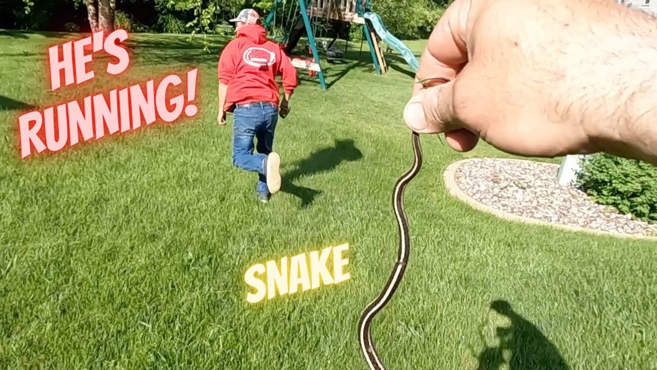 Awesome custom patio