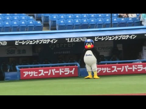 つば九郎、雨上がりの神宮にinする 2023/8/9