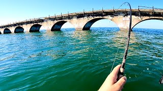 Florida Keys Fishing 7 Mile Bridge & Ledge Scouting  Whatever Bites!