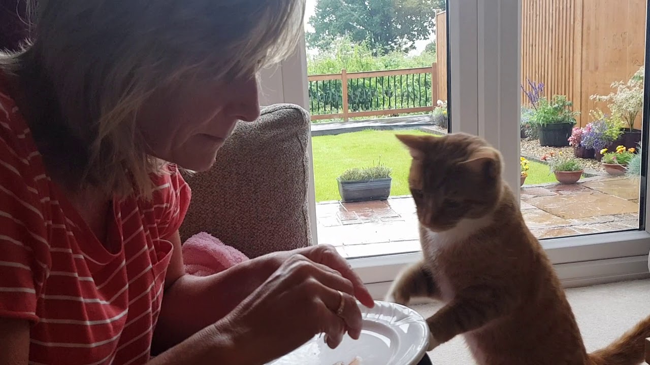 Henry Clancy-Cooper 6