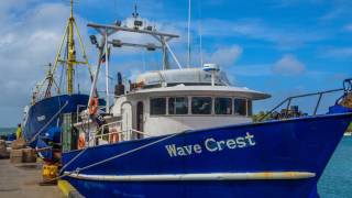 2016 12 ILES COLOMBIENNES DE SAN ANDRES et PROVIDENCIA