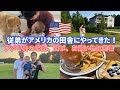 【アメリカ生活】従弟がアメリカへ遊びにきた | アメリカの田舎を経験 | お買い物、遊び、食べ物、独立記念日 | Cousin Visiting America For The First Time