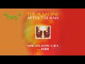 New Atlantic U4EA Feat Berry The Sunshine After The Rain 1994 