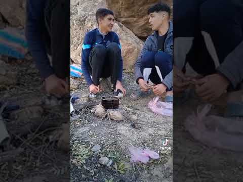 حب نتع بكري