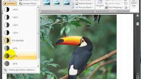 Microsoft Word 2007 ENG TB 05 03 Insert a Photo