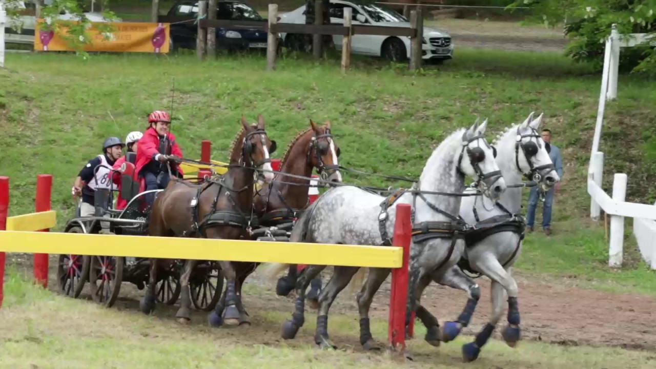 32e Concours d'Attelage International   26 mn Maraton 2016