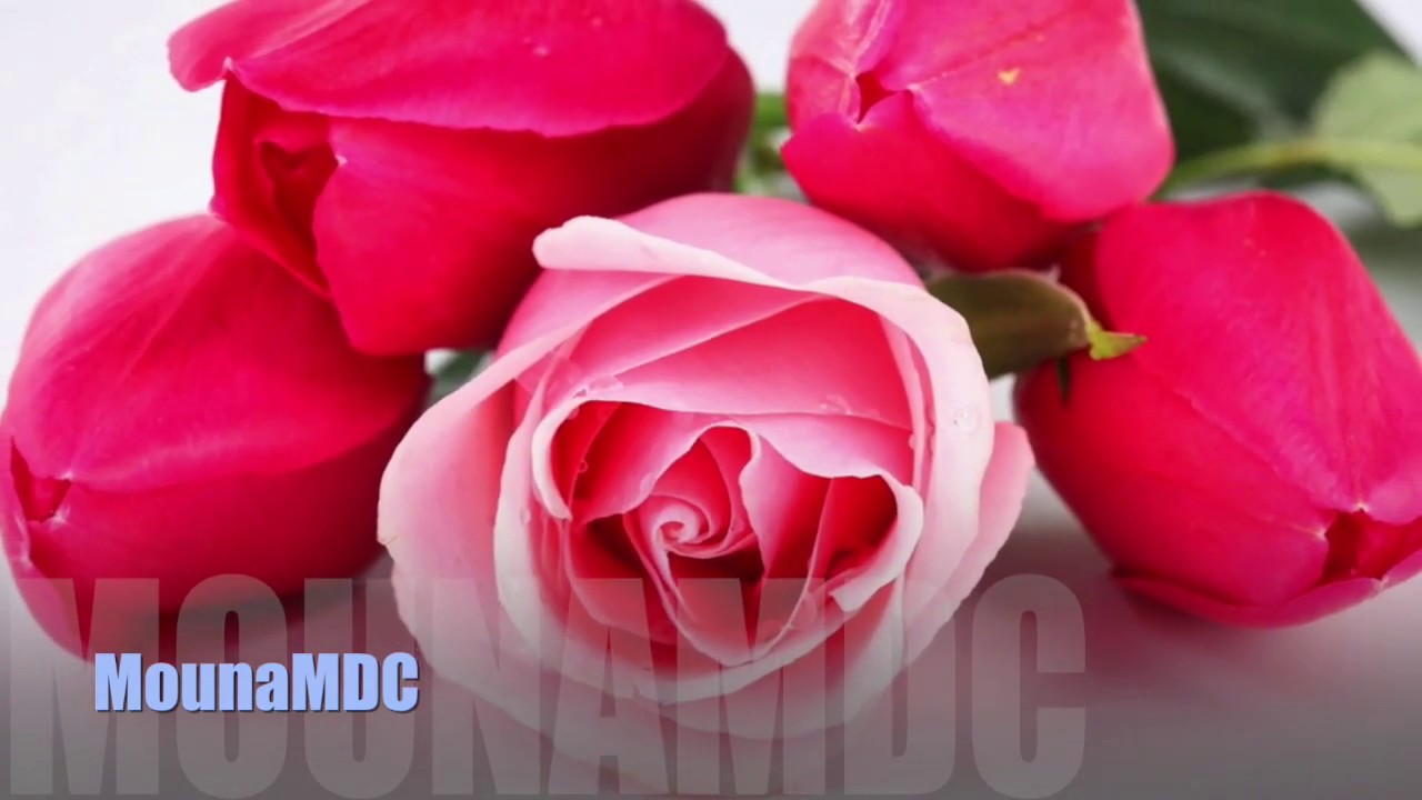 Malimatou Fatoumatou Traore #2