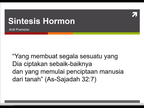 Sintesis Hormon